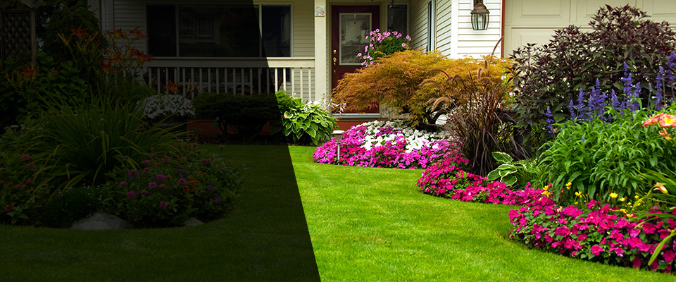 King Landscapers